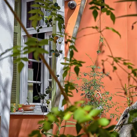 Quinta Hostel *